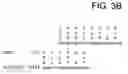Fig. 06 - Human histone deacetylase, HDAC9c
