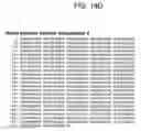 Fig. 21 - Human histone deacetylase, HDAC9c