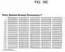 Fig. 22 - Human histone deacetylase, HDAC9c