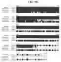 Fig. 29 - Human histone deacetylase, HDAC9c