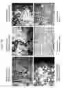 Fig. 33 - Human histone deacetylase, HDAC9c