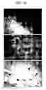 Fig. 34 - Human histone deacetylase, HDAC9c
