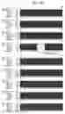 Fig. 51 - Human histone deacetylase, HDAC9c