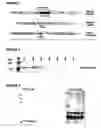 Fig. 02 - Mutant forms of meningococcal ADP-ribosylating toxin