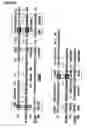 Fig. 04 - Mutant forms of meningococcal ADP-ribosylating toxin