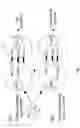 Fig. 02 - Co-stimulatory polypeptides