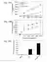 Fig. 28 - Co-stimulatory polypeptides