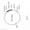 Fig. 34 - Co-stimulatory polypeptides