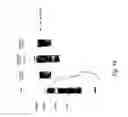 Fig. 35 - Co-stimulatory polypeptides