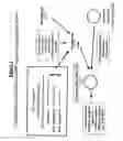 Fig. 04 - Recombinant double-stranded RNA phage, and use of the same