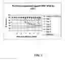 Fig. 02 - Equine West Nile virus immunotherapy