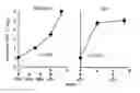 Fig. 01 - Method of accelerated vaccination against Ebola viruses