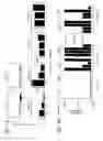 Fig. 04 - Method of accelerated vaccination against Ebola viruses
