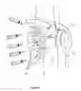 Fig. 07 - Method of repairing tendons by surgery