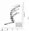 Fig. 04 - Method of modifying the release profile of sustained release compositions