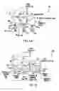 Fig. 02 - Multi-cell polarizer systems for hyperpolarizing gases