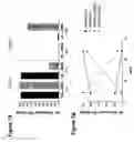 Fig. 08 - Methods and compositions for treating 