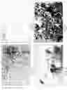 Fig. 03 - Composite materials