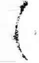 Fig. 03 - Magnetically-responsive microparticles with improved response times