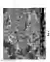 Fig. 05 - Magnetically-responsive microparticles with improved response times