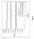 Fig. 07 - Magnetically-responsive microparticles with improved response times