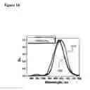 Fig. 15 - Binuclear compounds