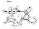 Fig. 18 - Binuclear compounds