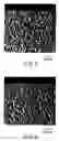 Fig. 04 - Compressible printing blanket and method of manufacturing a compressible printing blanket