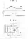 Fig. 04 - Fuel cell cooling system and method for controlling circulation of cooling liquid in fuel cell