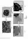 Fig. 06 - Method of producing membrane electrode assemblies for use in proton exchange membrane and direct methanol fuel cells