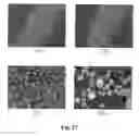 Fig. 28 - Method of producing membrane electrode assemblies for use in proton exchange membrane and direct methanol fuel cells