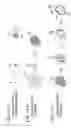 Fig. 02 - Manufacturing method of electrostatic charge image developing toner, and electrostatic charge image developing toner