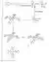 Fig. 01 - Method for forming an organic semiconductor film