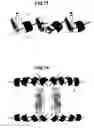 Fig. 07 - Bracket improvement with interchangeable locks