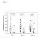 Fig. 02 - Screening assay for improvement of epithelial barrier function