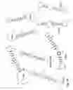 Fig. 09 - Antisense antiviral compound and method for treating ssRNA viral infection