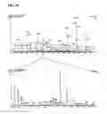Fig. 20 - Mass Intensity profiling system and uses thereof
