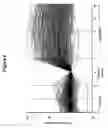 Fig. 07 - Tissue rejection