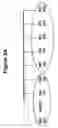Fig. 06 - Tissue rejection