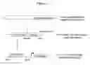 Fig. 02 - Method of identifying compounds that modulate interaction of androgen receptor with beta-catenin