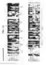 Fig. 06 - Sequences of an Iion channel and use thereof