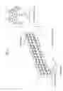 Fig. 02 - Dendrimer-based DNA extraction methods and biochips