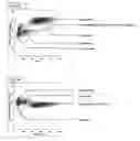 Fig. 08 - Method for a fully automated monoclonal antibody-based extended differential
