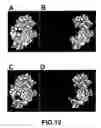 Fig. 16 - METHOD FOR REDUCING LYSOZYME ENZYMATIC ACTIVITY