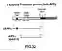 Fig. 35 - METHOD FOR REDUCING LYSOZYME ENZYMATIC ACTIVITY