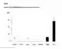 Fig. 08 - T cell protein and nucleotides encoding the same