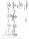Fig. 02 - Codon-optimized genes for the production of polyunsaturated fatty acids in oleaginous yeasts