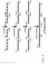 Fig. 10 - Codon-optimized genes for the production of polyunsaturated fatty acids in oleaginous yeasts