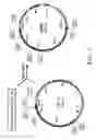 Fig. 11 - Codon-optimized genes for the production of polyunsaturated fatty acids in oleaginous yeasts