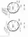 Fig. 15 - Codon-optimized genes for the production of polyunsaturated fatty acids in oleaginous yeasts